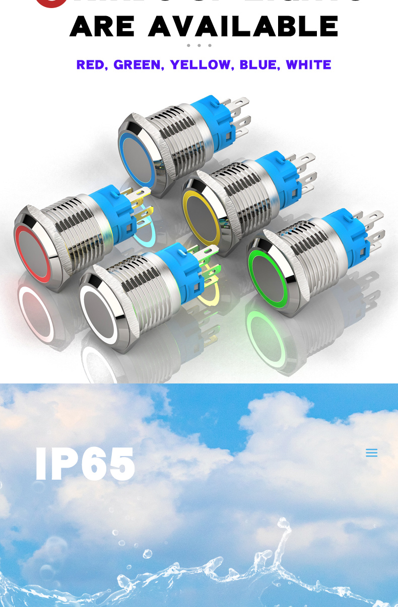 19mm Waterproof Metal Push Button Switch 1NO1NC Flat Head Ring-LED Momentary Switch IP65 Level 220v Max. Voltage