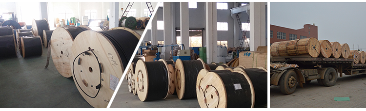 HDPE LSZH вычисляет 8 поддержанную собственную личность ядра кабеля оптического волокна 12/24 воздушную