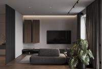 Design de salon personnalisé minimaliste avec armoire de rangement en bois