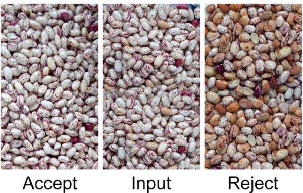 Automatic CCD RGB Bean Color Sorter