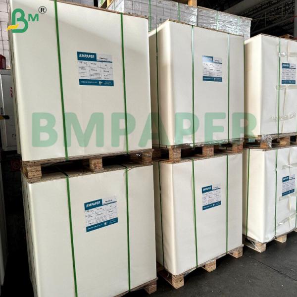 180gsm 200gsm Aqueous plastic free paper Cupstock Paper Heat Resistant (120°C) For Paper Cups Bowl  Takeaway Containers