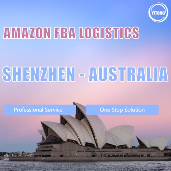 Перевозимый самолетами груз моря товароотправителя WIFFA Амазонки грузя от Китая к Австралии