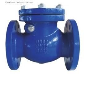 Double Flange Cast Iron ggg50 DI Swing Check Valve for Y Type Structure ANSI Standard
