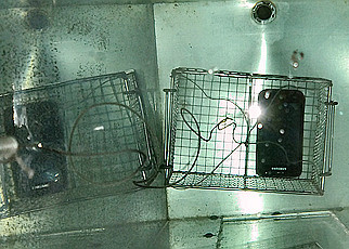 SS304 IEC 60335 IPX7 Ingress Protection Test Equipment