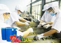 Máquinas de processamento de bagas personalizadas para linha de produção de suco de bagas