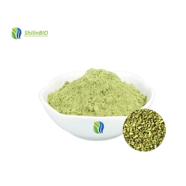 Rutin Extract 95% Rutin