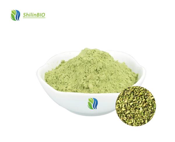 Rutin Extract 95% Rutin