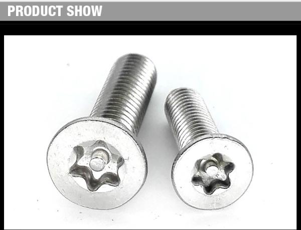 Stainless Steel Flat Torx Head Screw