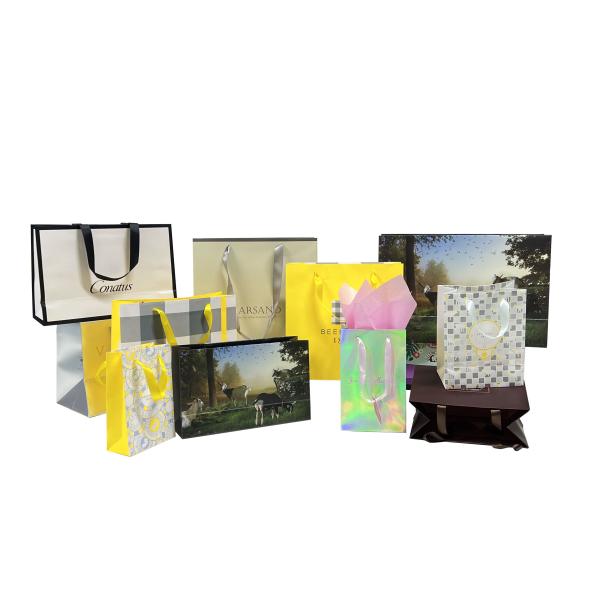 Custom Company Logo Paper Shopping Bags Высококачественные покрытые бумажные сумочки для одежды Обувь и розничная упаковка - прочные рукоятки Глянцевая/матовая ламинация и скидки на оптовые заказы