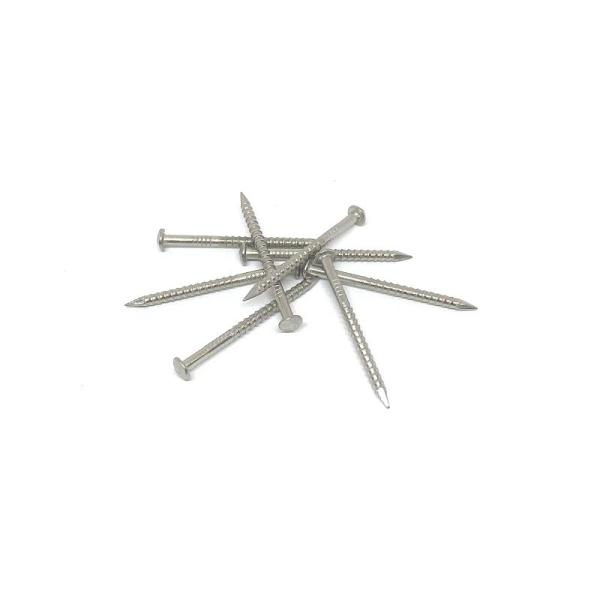 30X2.0MM Rose Head Annular Ring Shank cloue l'acier inoxydable 316