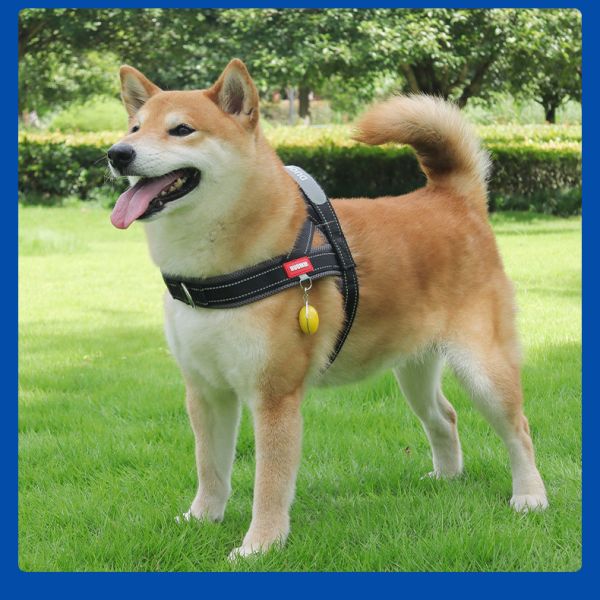 Escape Proof Waterproof Dog Harness Anti Breakaway Medium Dog Harness For Training