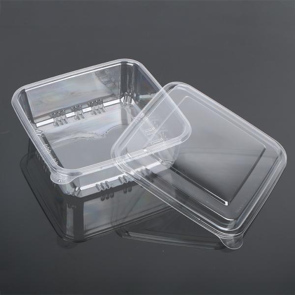 High quality hot disposable plastic transparent PET packaging cake,Disposable Fruit Tray