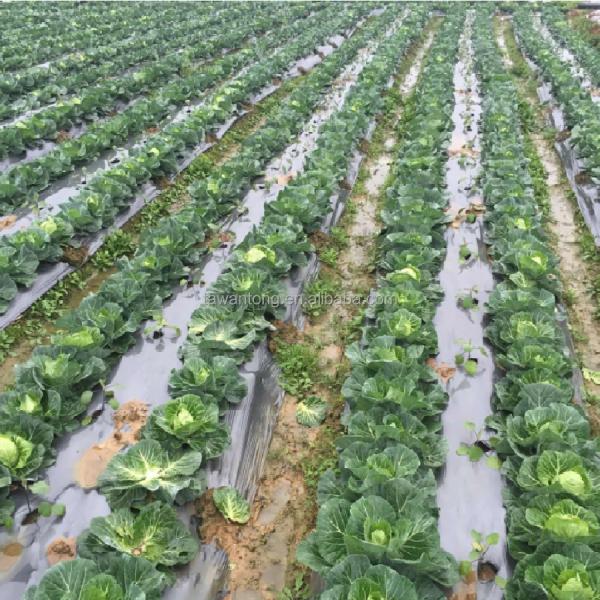 0.4-6м Ширина увлажняющая сельскохозяйственная защитная пластиковая пленка с перфорированным дизайном