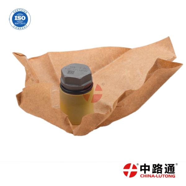 Common Rail Pressure Limiting Valve 1 110 010 018 Automatic Fuel Pressure Limiting Relief Valve