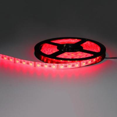 12V 24V 5050 RGB LED Strip Light Home Room Decor 5m Length 10mm Width