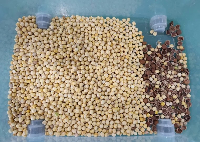 300 - 1000kg/H обезводило машину овоща сортируя используемую для сельскохозяйственных угодиь