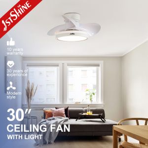 30 inch 110V 230V ABS Blades Ceiling Fan With Light 35W DC Motor