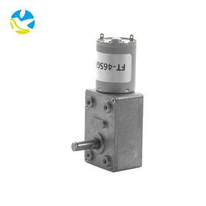 FT-46SGM370 Low Noise 46mm Turbine Gearbox 12v 24v 2-100rpm Right Angle Dc Worm Gear Reducer Motor