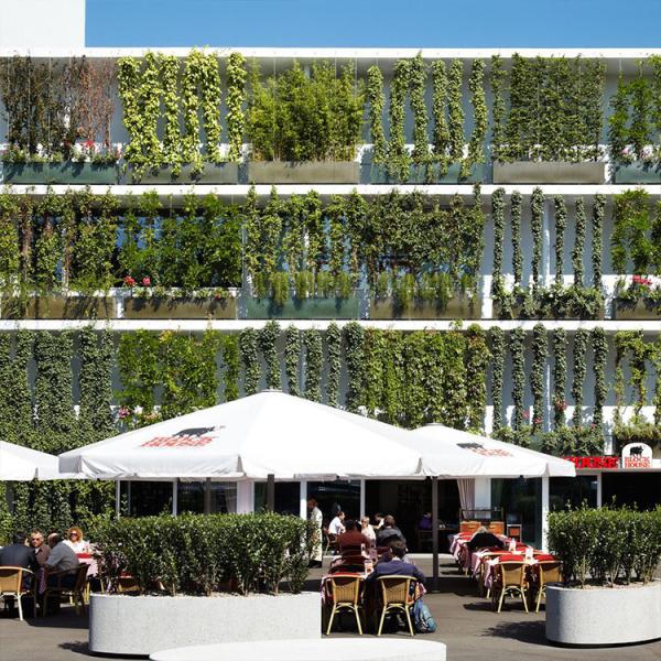 Ultrasonic Bath Plant Climbing Net Support Netting 7X19 1.5mm Stainless Steel