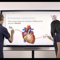 Écran d'affichage de moniteur interactif de 75 pouces