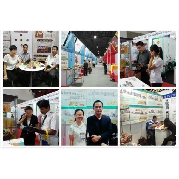 Chaîne de production automatique d'extrudeuse d'aliment pour animaux familiers moteur de Siemens de machine d'aliments pour chiens