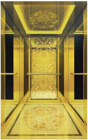 Stainless Steel Residential Passenger Elevator With Monarch Control System
