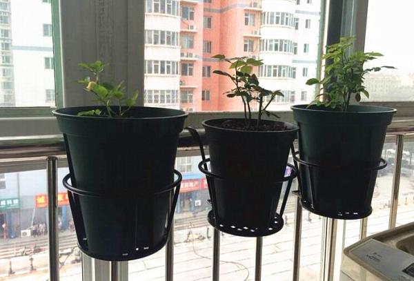 Black Single Tier Metal Flower Pot Stand , 18x22x12cm Single Tier Plant Stand