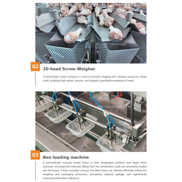 All-in-One Automated Tray Denesting & Filling Line with High-Precision Screw Multihead Weigher for Sticky Meat