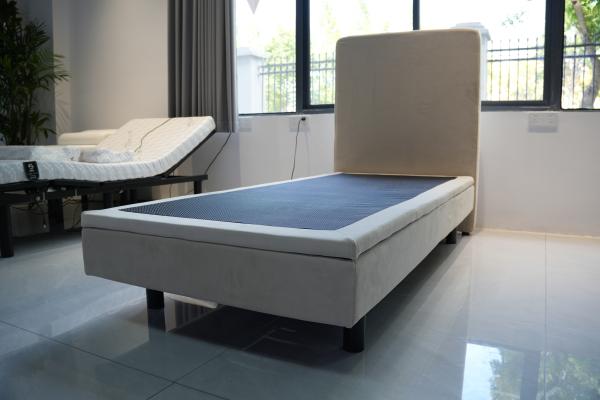 Queen King Single Smart Recliner Bed Customized With Remote Control