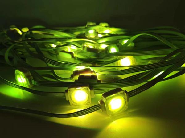 RGBW アミューズメントパーク 永久 50ft/100ft クリスマス ピクセル LED点灯 屋外装飾 ピクセル スマート イーブス ストリング