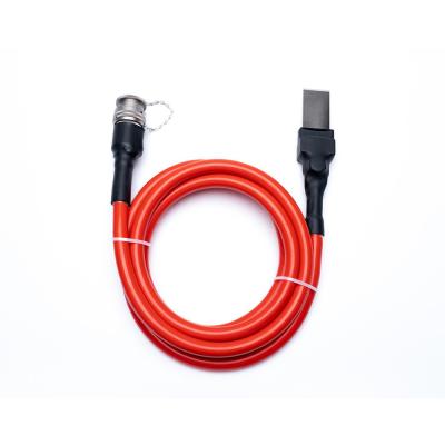Customized Request Industrial Cable Assembly for Automation Automotive Wire Harness