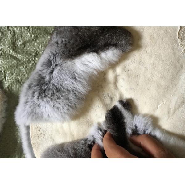 El calentador gris claro del cuello de la piel del conejo de Rex, conejo real de Rex lanza la piel para la manta de la placa