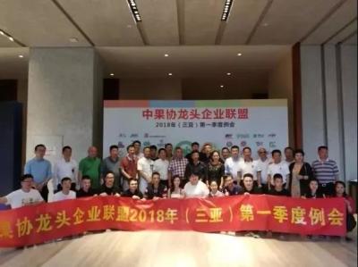 the regular meetings and the activities for the alliance of Chinese leading fruits company