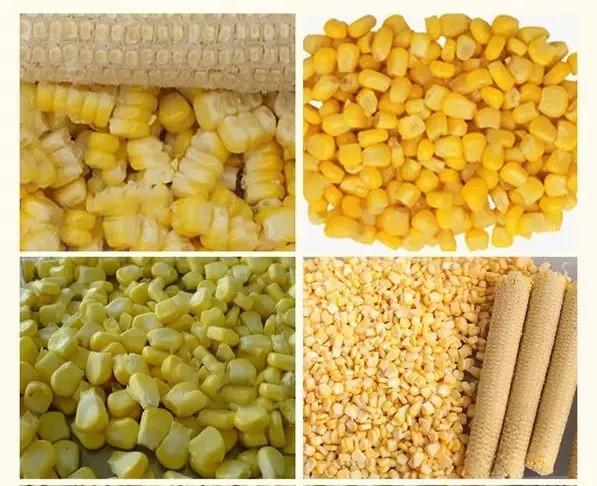 Small Mini Vacuum Freeze Drying  Food Household Home Freeze Dryer for Sale