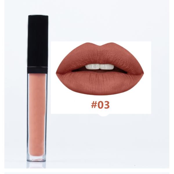 Губная помада метки частного назначения штейновая жидкостная делает вашим собственным логотипом водоустойчивое продолжительное