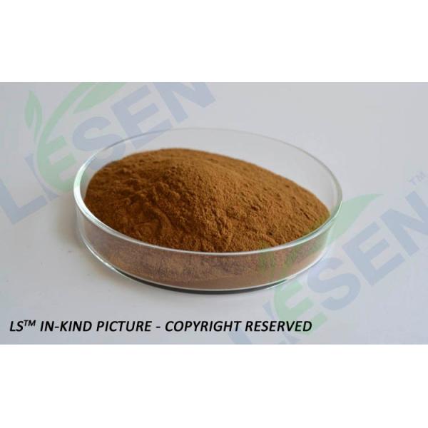 Plant medicine extracts cynara scolymus extract/artichoke leaf extract 5% Cynarin powder