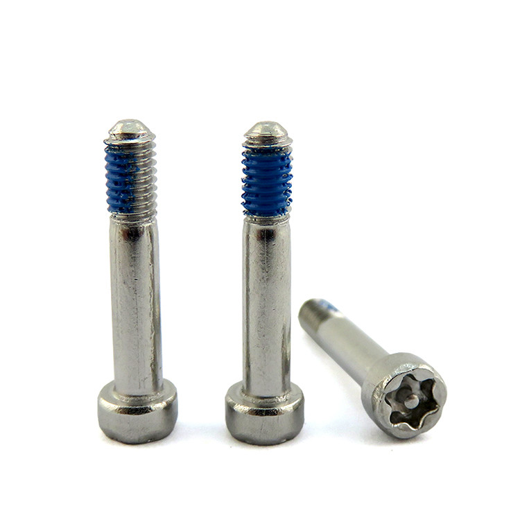 Специальный нержавеющий сталь Torx Pin Socket Head Anti-Theft Captive Screw