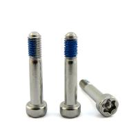 Parafusos de aço inoxidável torx pin cabeça do soquete de captura anti-roubo