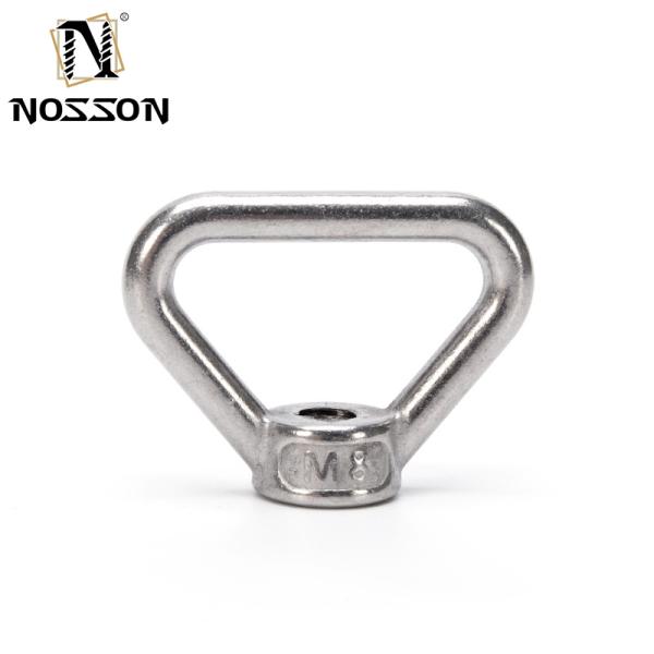 Stainless Steel 304 Forged Ring Shape Eye Nut Galvanized Polish M8 M27 Lifting Sizes M10 M12 M14 M16 M18 M20 M24 M27 A2-70 Grade