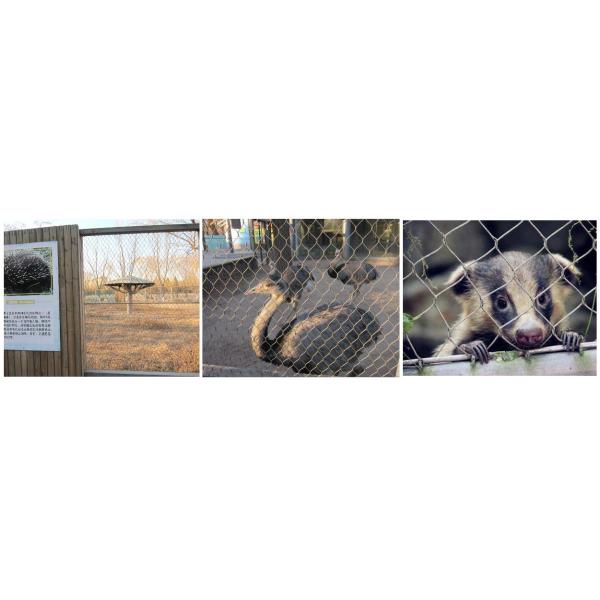 316 Bridge Stair Railing Safety Net Knotted Black Oxide Architectural Metal Mesh