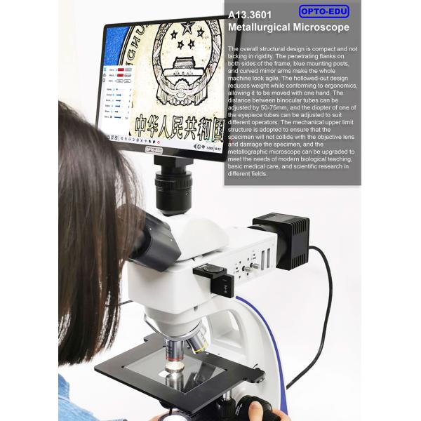 OPTO EDU A13.3601 Binocular Metallurgical Microscope Transmit And Reflect Light