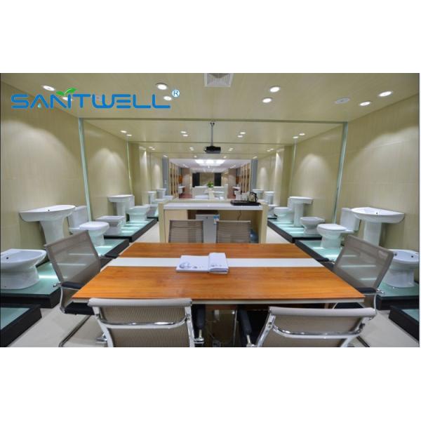 540*360*385 mm NR125 Wall Hung Toilet In Living Room White Color Washdown Rimless