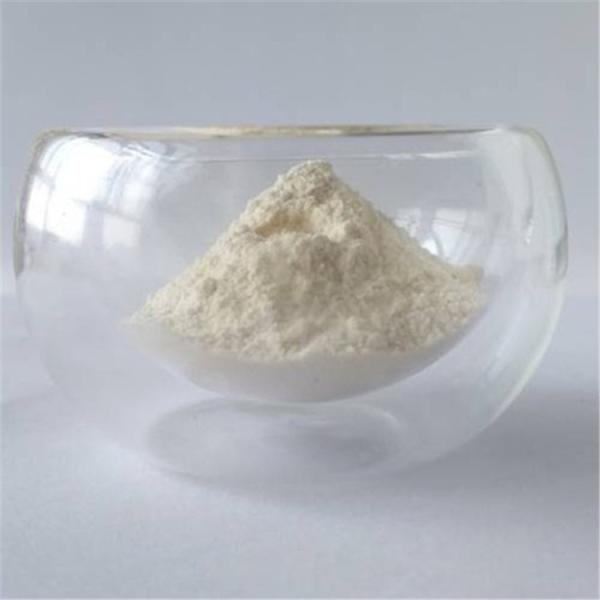 Pharmaceutical Grade Anti Cancer Galangal Powder