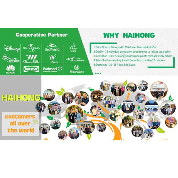 Handmade Plastic Artificial Monstera Plant Wind Resistance