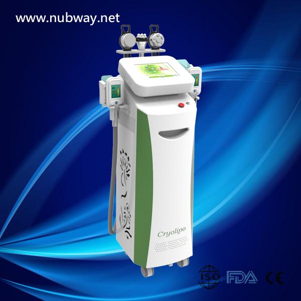 Fast fat removal Cryolipolysis Slimming Machine on a biggest discount
