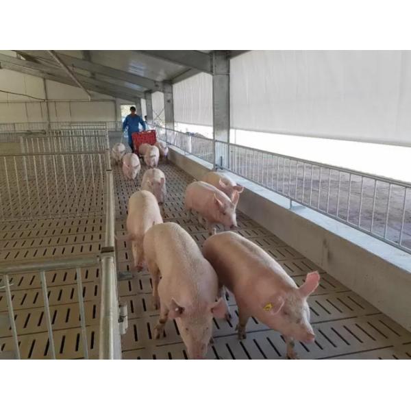 Modern Aesthetics Building Facilities And Construction Materials for Contemporary Design Projects