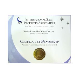 Foshan Rayson Non Woven Co.,Ltd Certifications