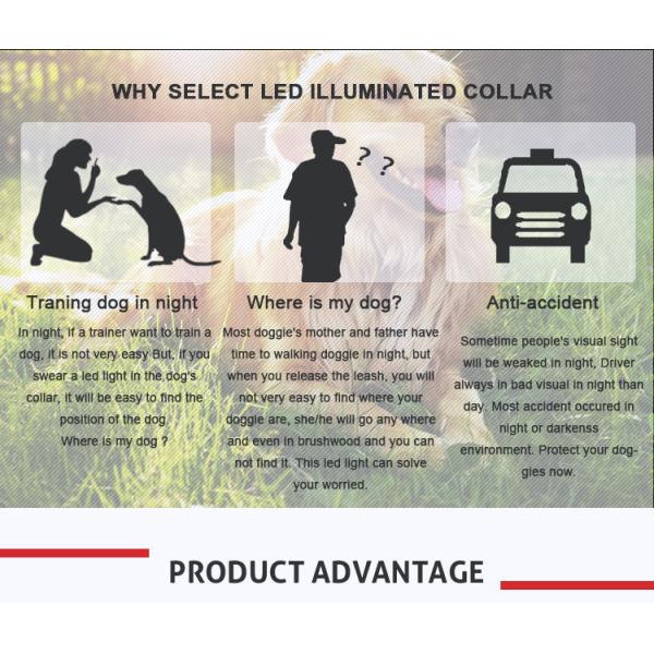 Led Flashing Strong Large Long Nylon Dog Leads , Glow In The Dark Dog Leash