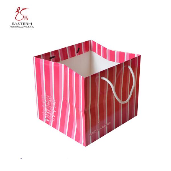 Recyclable Luxury Printed Paper Gift Bags Matt Lamination Aqueous Coating