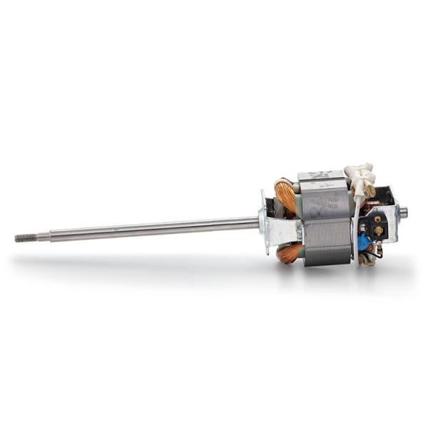 High Torque 110v 220v 100w 200w 300w AC Electric Motor for Treadmill Machine 10000rpm
